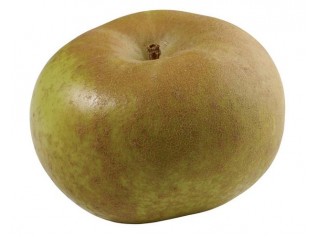 MANZANA REINETA